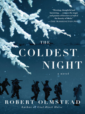cover image of The Coldest Night